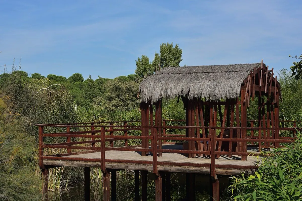 Paseo en el Parque Forestal de Valdebebas