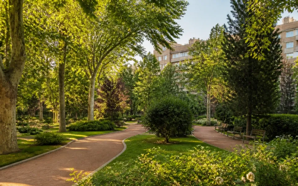 Parque urbano con caminos entre árboles en el Barrio del Pilar