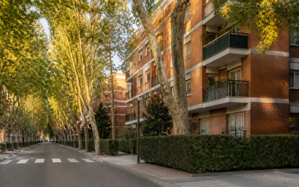 Calle del Barrio del Pilar con bloques de ladrillo y plátanos
